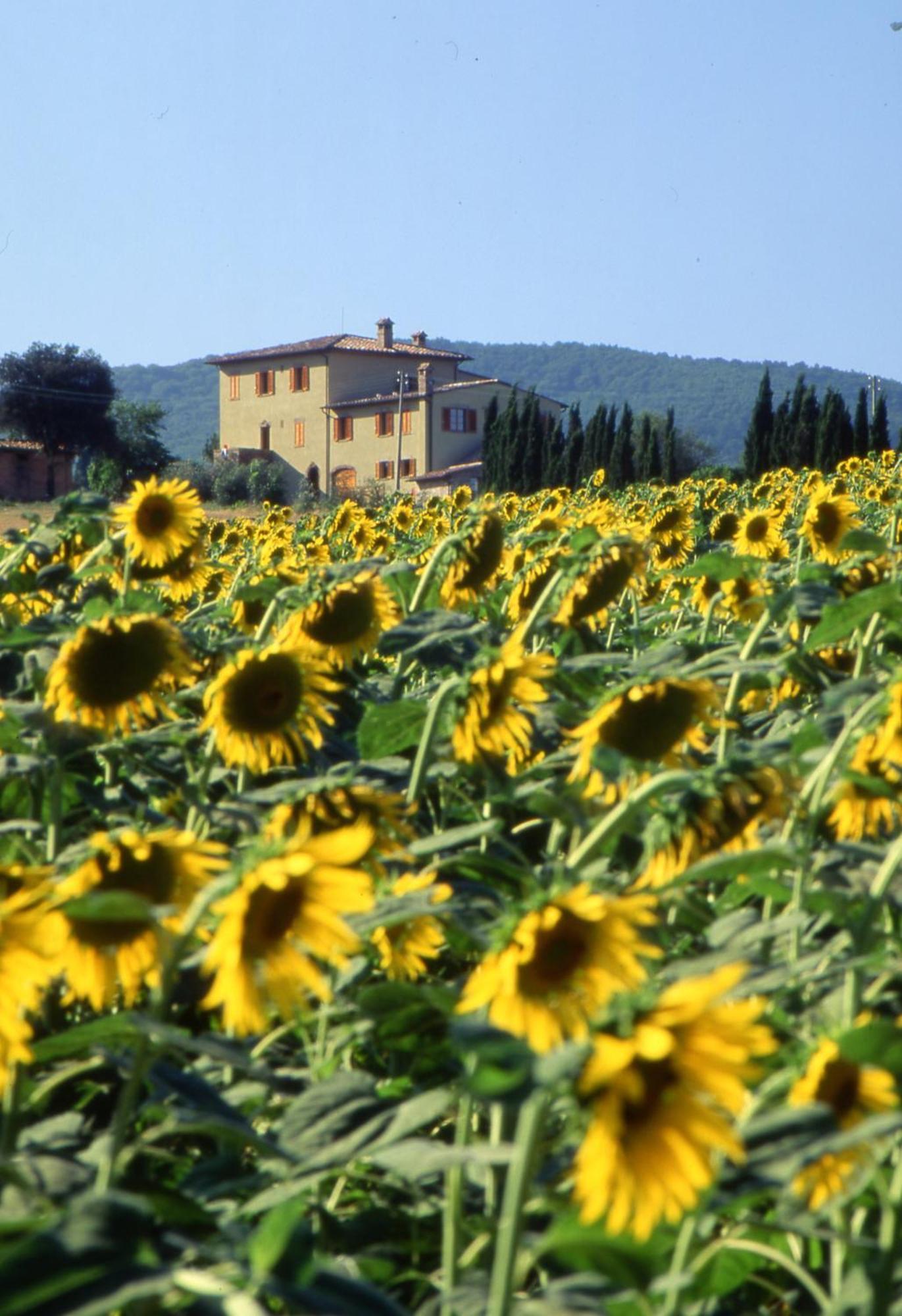 Agriturismo Palazzo Bandino - Wine Cellar, On Reservation Restaurant And Spa Villa Chianciano Terme Exterior photo